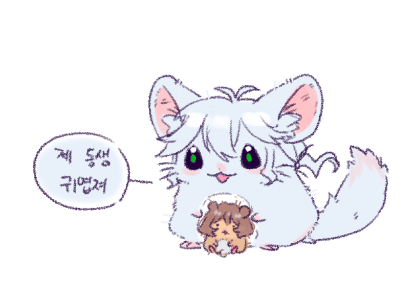 듀뮤갸 (@frog_sukii) on Twitter photo 