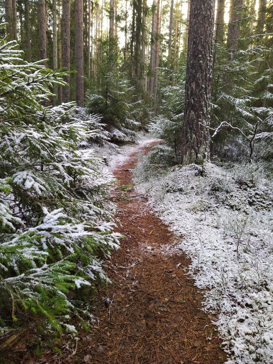 Good morning! Have a wonderful Sunday!