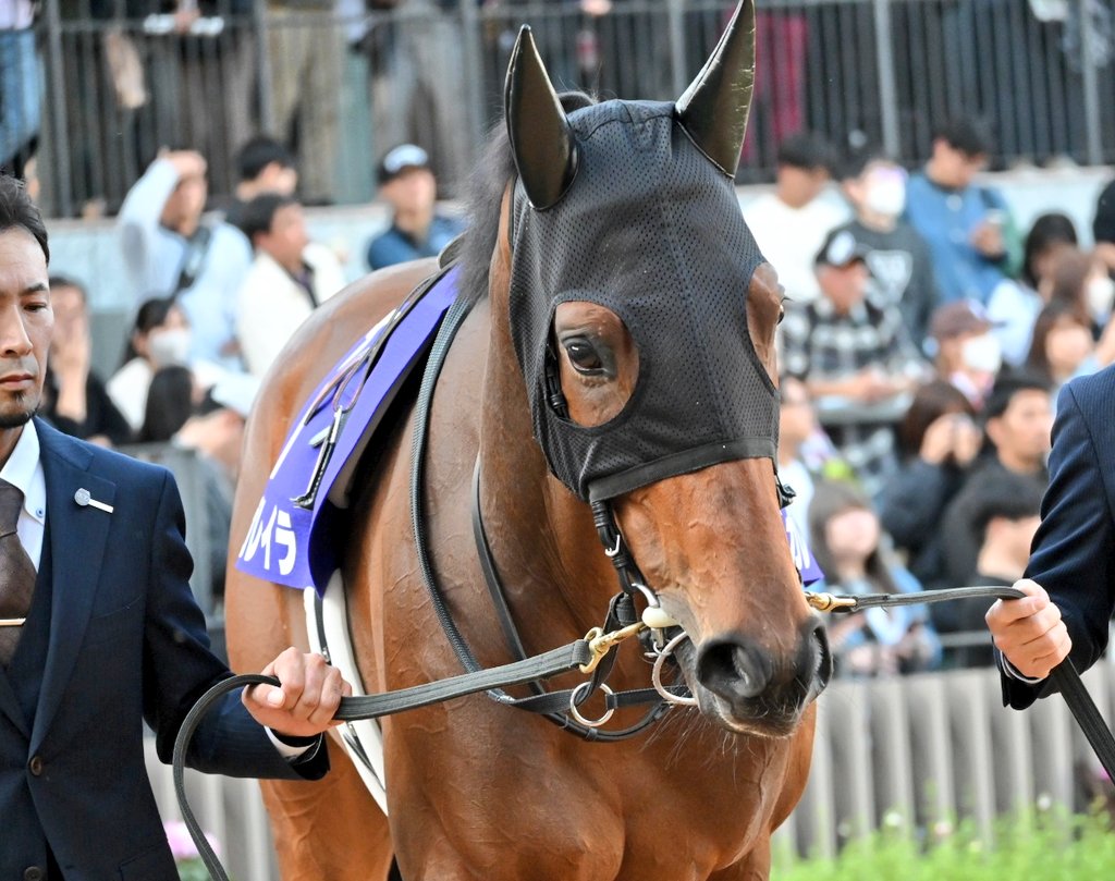 E3%82%A8%E3%83%AA%E3%82%B6%E3%83%99%E3%82%B9%E5%A5%B3%E7%8E%8B