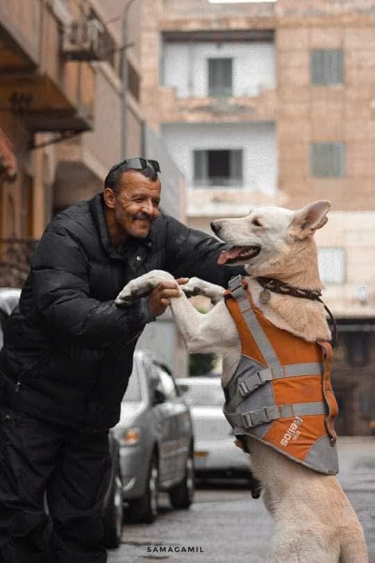 nshanab_'s tweet image. Egypt  بورسعيد | مصر