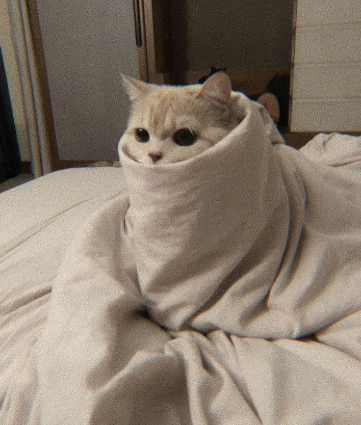 𝕯𝖊𝖛𝕰𝖓𝖓𝖞 tweet media