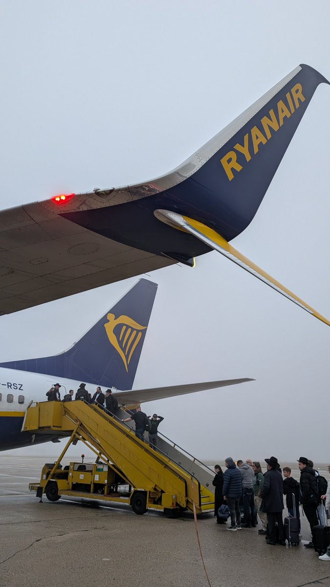 MrPiddly tweet media