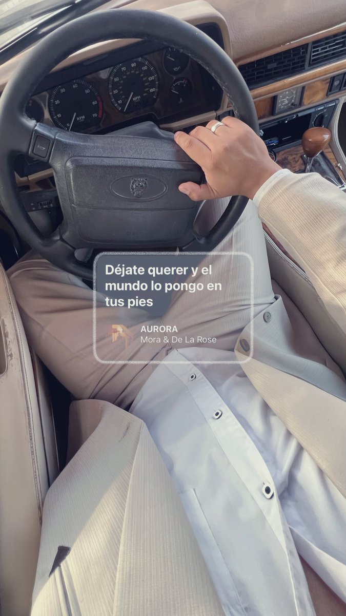 Pibi tweet media