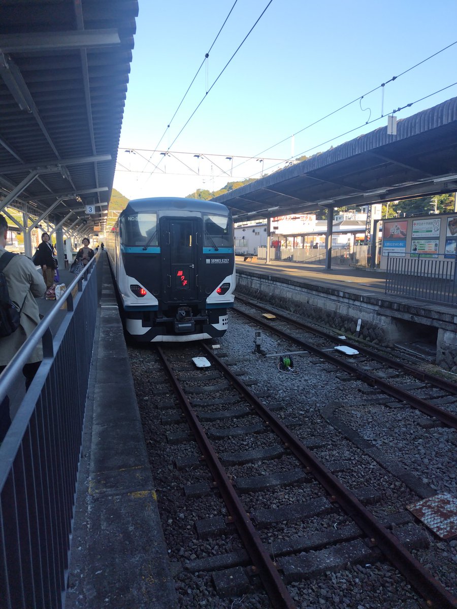 青いおにぎり (@G6azYwQk8ELUGSG) / Posts / X