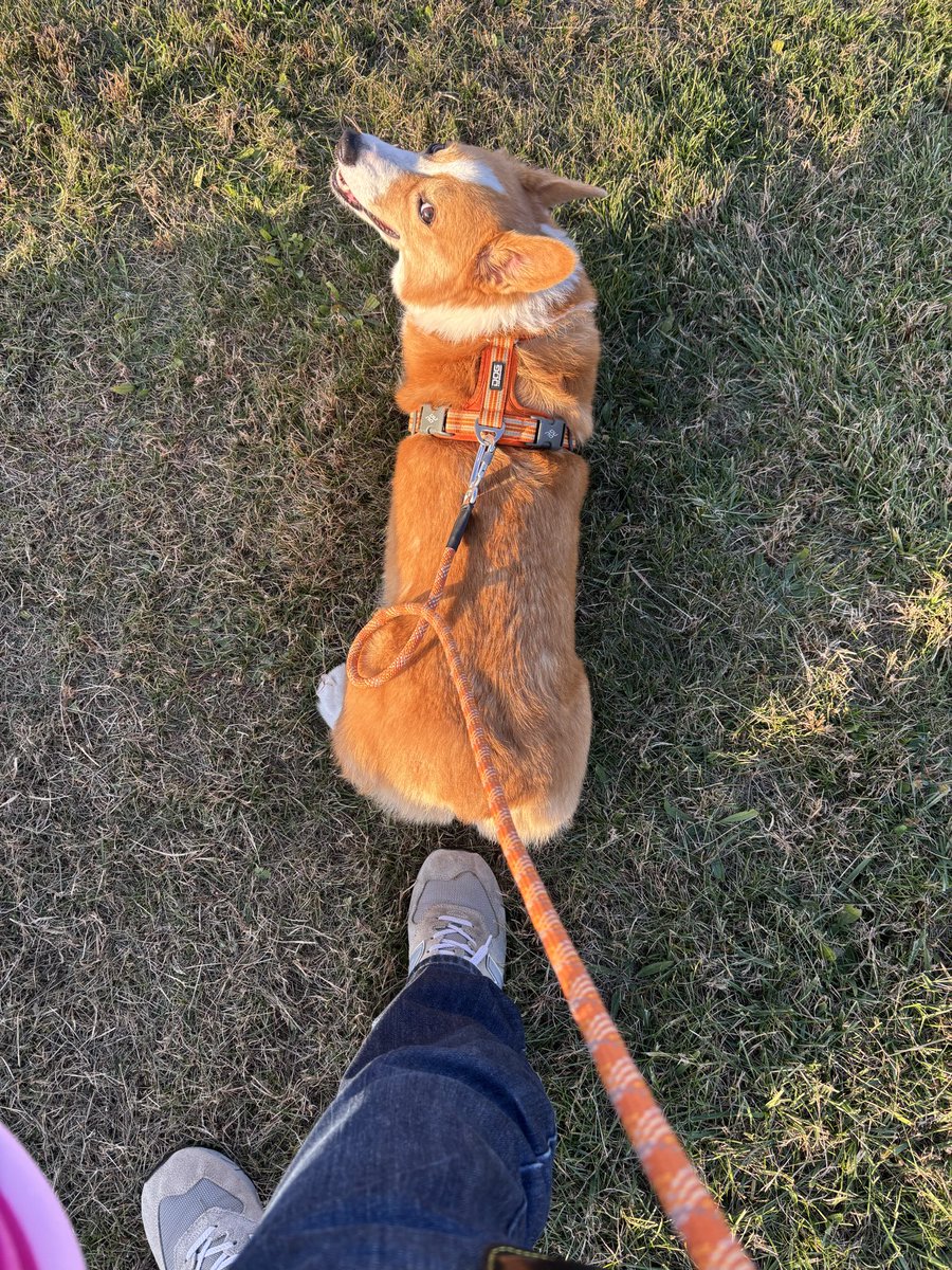 久々に公演散歩