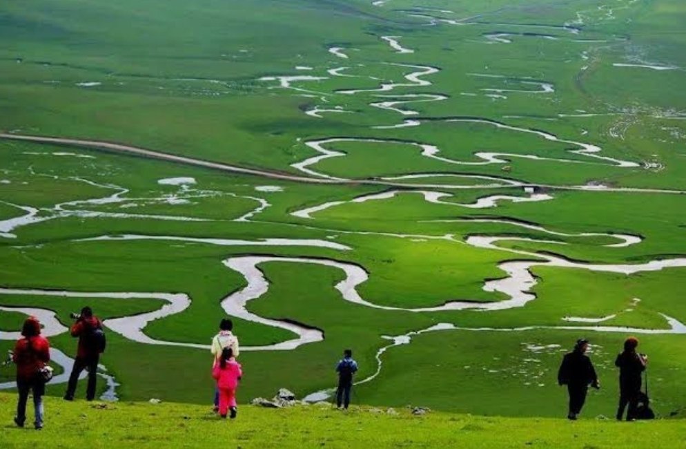 Serhan_Asker's tweet image. Günaydın...

Ordu Kabataş burası... Bilmiyordum ben de...

Görkemli Hatıralar birazdan bu cennet köşeden evinize geliyor... 

Etiketimiz,
#Perşembeyaylasıhalkındır
#perşembeyaylasınadokunmayın

Bir sade kahvenizi isterim:) 

@halktvcomtr 
@gorkemli_htrlr