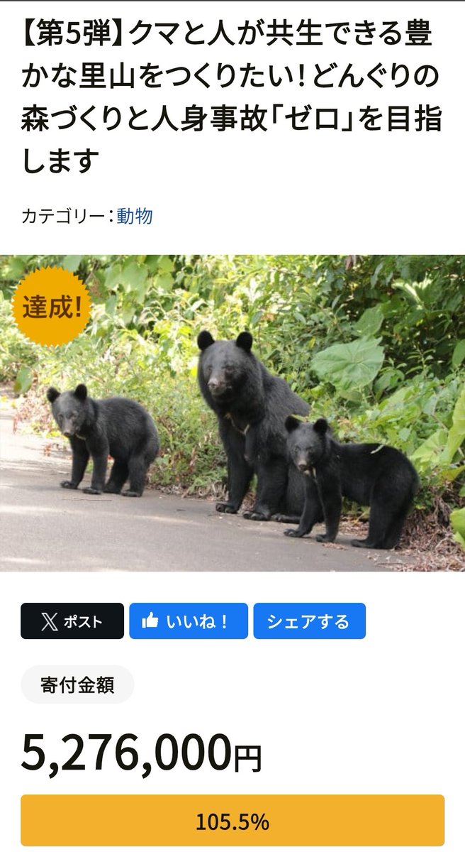 mika_kuramoto's tweet photo. よく読んでもらいたいんだけど
石川県小松市は
「ドングリなどの実が不作で、人里に下りている」とはっきり示し、
「えさ場づくりとゾーニング管理」で2020年に例年の５倍の目撃と人身事故があったものを
2024年には人身事故を「ゼロ」にした。

そうした取り組みを通して
「熊も棲みやすい豊かな森づくりと人身事故ゼロのまちへ」として、
ふるさと制度での寄付を集めている。

しかし、あえてふるさと納税で
さらなる寄付を呼びかけるということは通常予算では足りない、
不十分であるということが言える。

私達から徴収されている税に「森林環境譲与税」があるが

森や里山のある自治体より、
いまだに都心部への交付額の方が多いという本末転倒さで、
それでいて林野庁のアクティブリストがあり、
都心部では直接植樹には使えないことになっている。

では都心部でどう使われているか。

例えば、杉並区での使途の一部には
・小学校での木製のランドセルロッカーや掃除用具入れの購入
・保育施設での木製椅子や棚、おもちゃの購入
・基金に溜め込む…等々。
他の都心部の自治体も似たような状況である。

子どもたちのための物品を買うのを悪いとは言っていないけど、
でもそれは「間伐材・木製品の購入を推奨する」とすれば足りるし、

都心でこういう使い方をしていて
森林・里山地域は予算不足なんて話はおかしい。

少なくとも森林環境譲与税は
交付対象地域を地方に絞るべきである。

私はこの税について
一昨年の決算委員会で取り上げたが、メガソーラーのために木が切り倒されるのも止められない。

耕作放棄、放置林も目立ち、
動物の餌となる実なる木がなく、荒んでいる状況をみれば
何のための「森林環境譲与税」なのか？と言いたくなる。

かつてから生息している熊が
人との衝突を発生させていることは、　
とにかくこうふうにして
日本の森林管理と環境生態の維持が
予算配分も、
やり方も間違えていることにも気付かなければならない。

政府は緊急猟銃パッケージを打ち出したが、
無秩序なメガソーラー開発を許す制度の不備や、
森林・里山、生態系保全の課題など、その根本にある問題の解決を
これ以上  後回しにするべきではない。

人と動物が互いに傷つけ合わずに、
そして
互いが傷付かずに済む、距離をとって共存していける道を模索すべきである。