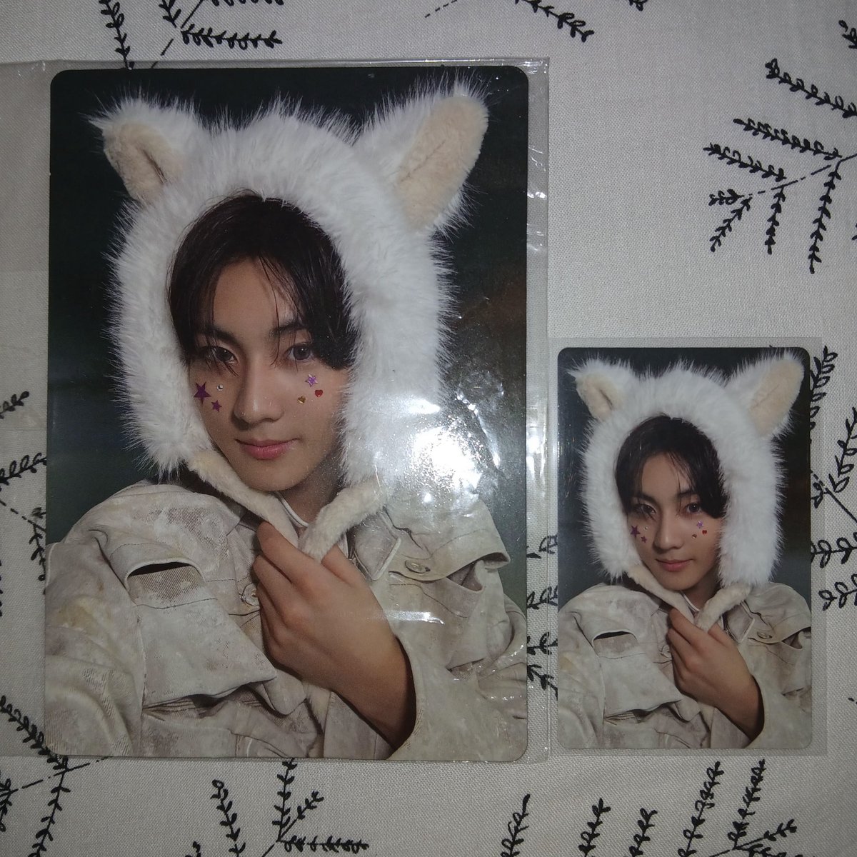 #ensell jungwon labubu pob wv global daydream 95k set