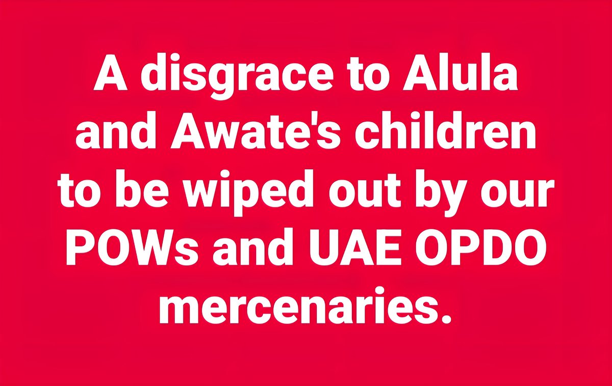 LemlemTigest's tweet image. A #disgrace to #Alula and #Awate's #children to be #wiped #out by #our #POWs and #UAE #mercenaries.