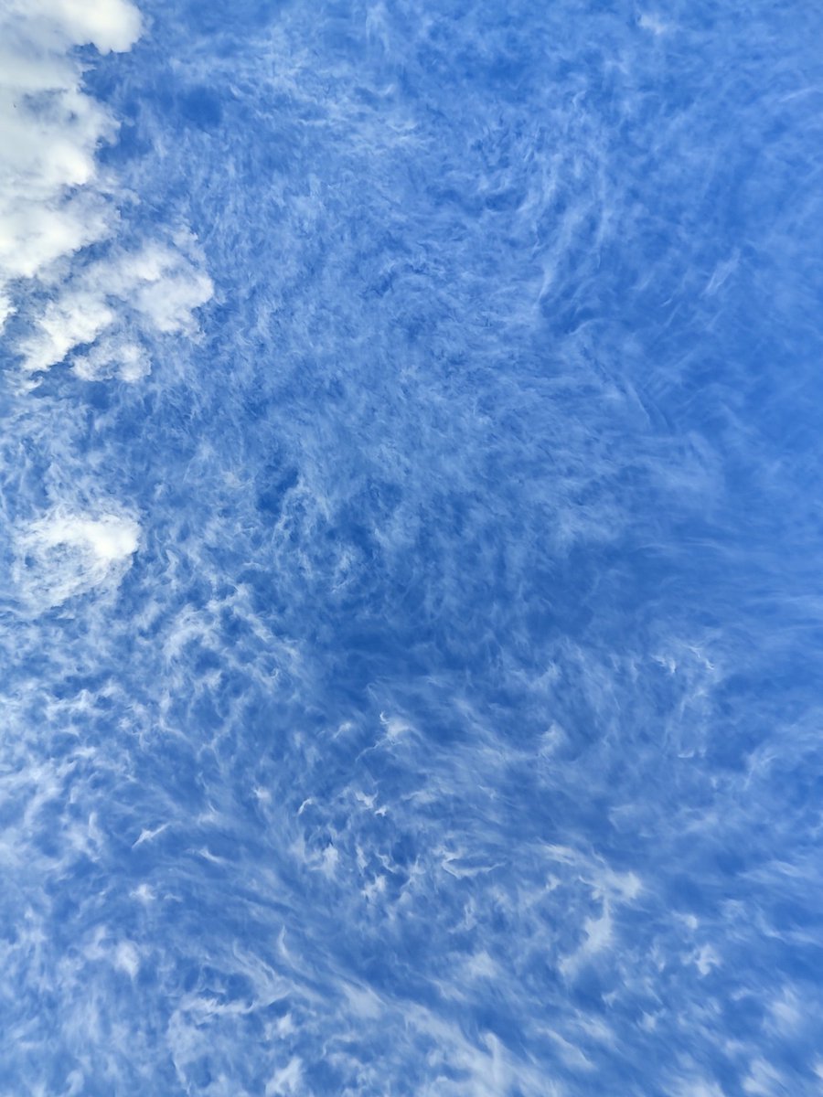 tinybugs's tweet image. 公園来てレジャシ引いてゴロゴロしてるの最高なんだけど日陰になるとやや肌寒くてさ
これなんとかならんかなと考えながら寝袋持ってくれば良いんじゃない？と思ったけどそこまで行くと一線超えてる感あるよな