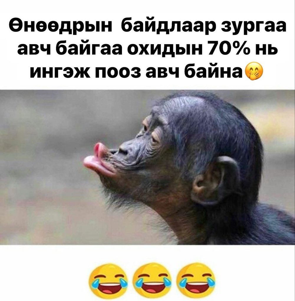 С.Төрёожа (@sineesirendev) on Twitter photo 