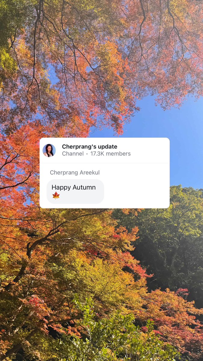 Have a wonderful autumn too 🍁✨

#CherprangAreekul