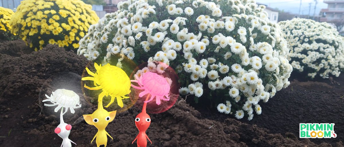 🐔 (@98rbcYZySu9swK0) / Posts / X