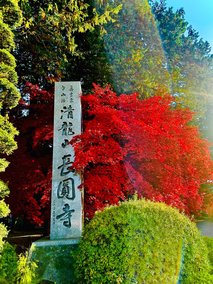 PianoKayoko's tweet photo. 長野県の実家に帰省
長円寺の紅葉🍁
キレイ✨ https://t.co/8kHH7r9i98