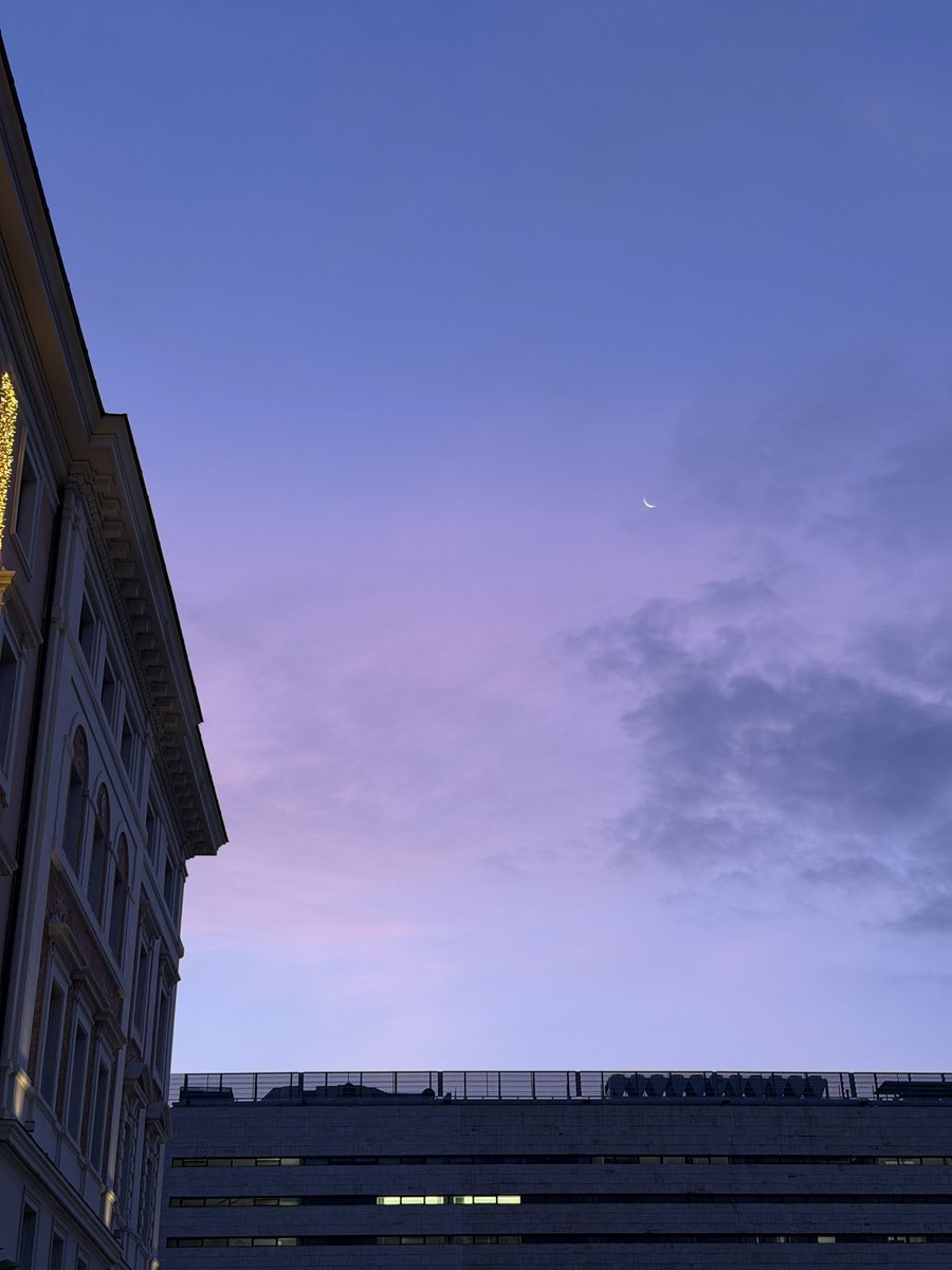 𝖍𝖊𝖑𝖎𝖔𝖕𝖍𝖎𝖑𝖎𝖆 tweet media