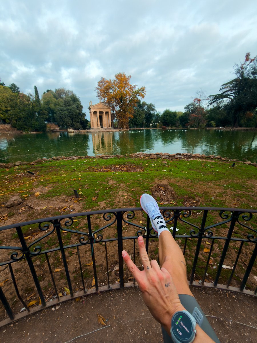 𝖍𝖊𝖑𝖎𝖔𝖕𝖍𝖎𝖑𝖎𝖆 tweet media