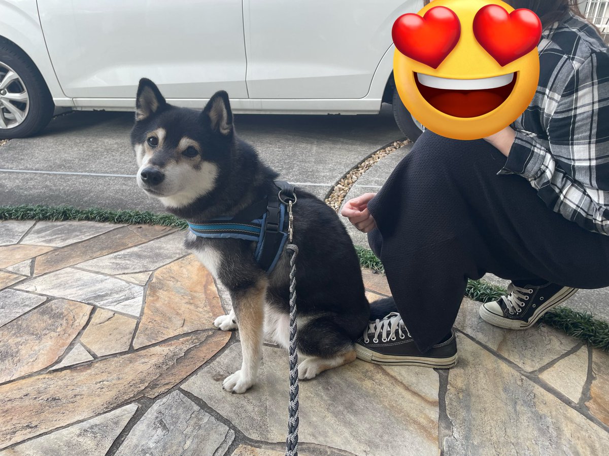 9648kanta's tweet photo. 飼い主の友達が遊びに来てくれたよ🥰
友達の足に座ってた🤣 https://t.co/iJwHVxERY6