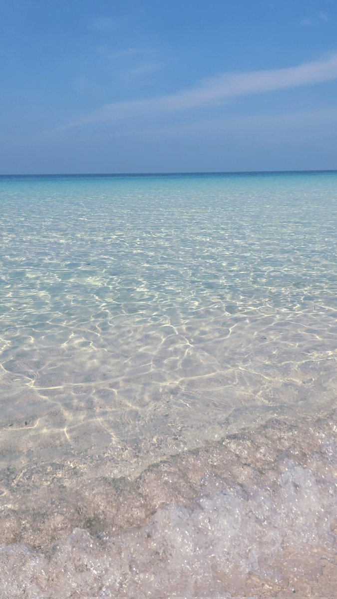 MarioKB's tweet image. プールみたいな水 🏖