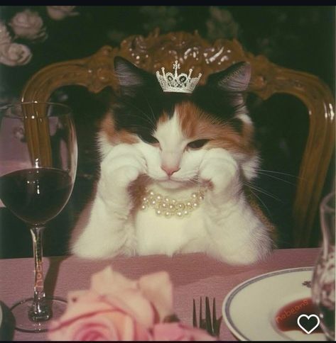 hinataa_d's tweet photo. Teri kyu sunu....do you pay my bills?
#fyp #queenbehaviour #life #mylifemyrules https://t.co/KCUz3SzFLa
