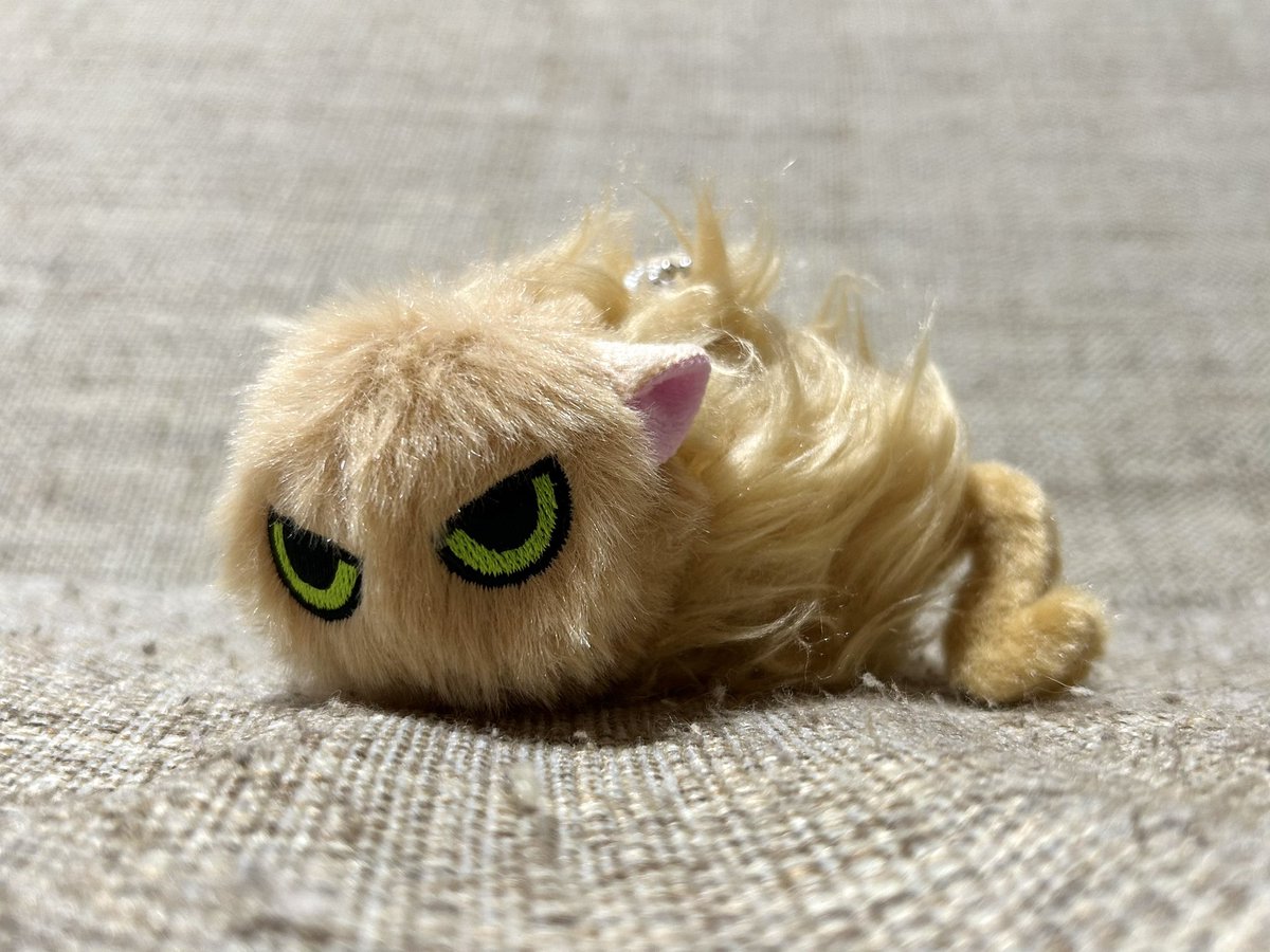 sekonao なつかない猫 ぬいぐるみ　猫　やんのかステップ　せこなお sekonao なつかない猫 ぬいぐるみ 猫 やんのかステップ せこなお