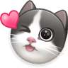 theepan1996's tweet photo. #日照 猫猫 https://t.co/J25rPBa065
