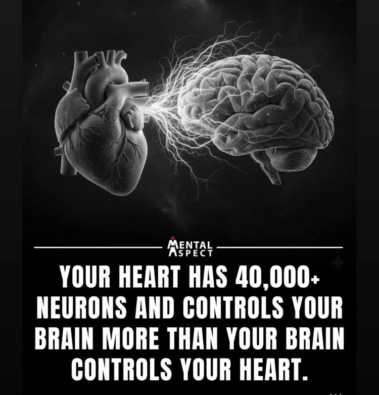 KatHeartFG's tweet photo. Did you know??? 
We are gonna talk about why your heart and brain disagree and what you can do about it, tomorrow morning at 9am PST/12pm EST right here on Sunday School spaces… #quantummind #heart #connections #energycenters https://t.co/wipYXYlcP1