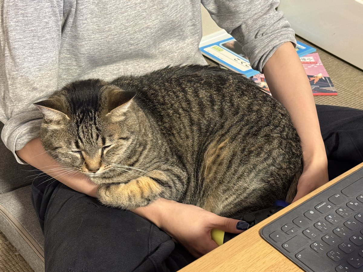 Tsugaru Line (@tsugaru751) / Posts / X