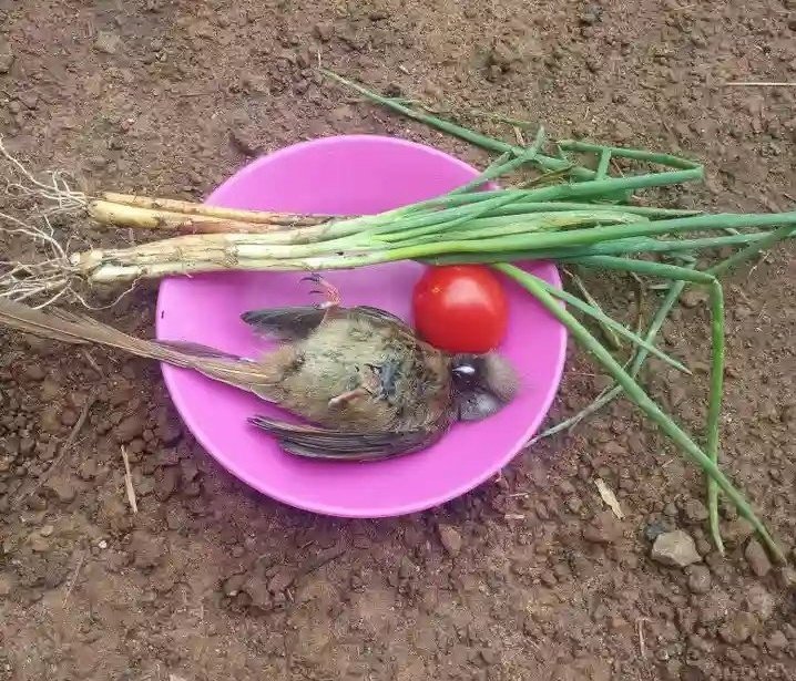 Wacha nitengeneze ka KFC apa😂