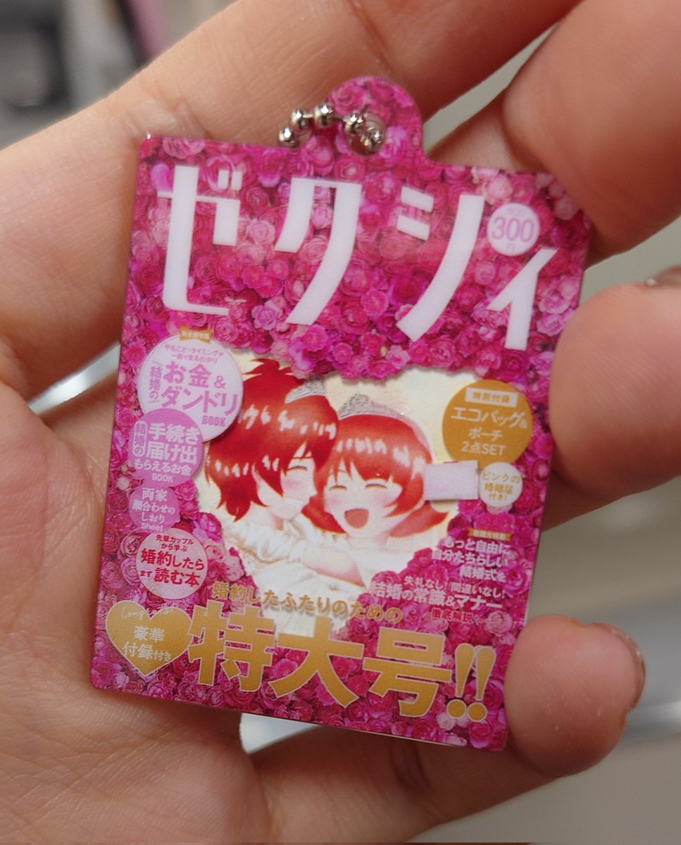 こうなりました ふと思い立って2枚入れてみたら普通に入ったので