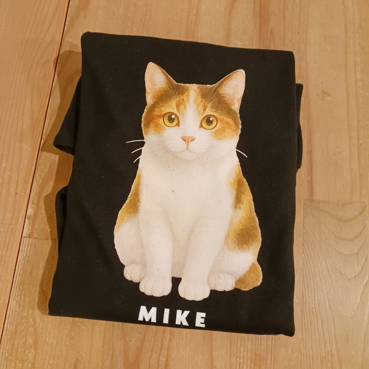 夕方、空いてますよ～どうぞお立ち寄りくださいね( ´∀`)🐱