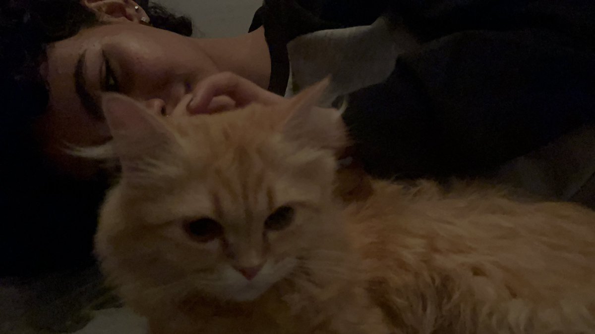 diffwl's tweet image. اول لقاء بين زيزو وليون