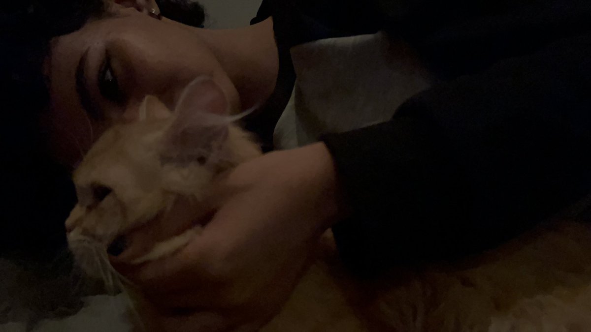 diffwl's tweet image. اول لقاء بين زيزو وليون