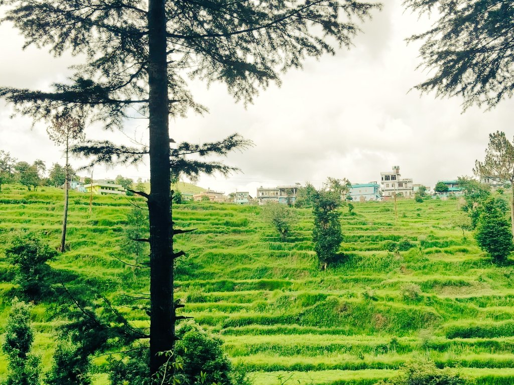 ज्यादा अच्छा होना भी गुनाह होता है 
पता ही नहीं चलता लोग कदर कर रहे है 
या इस्तेमाल..✍️
बुजुर्ग कहते हैं...फसल रंग बदले तो काट 
दो और लोग रंग बदले तो छोड़ दो..✍️
रिश्तों में चालाकी नहीं, सच्चाई ही 
टिकती है..✍️