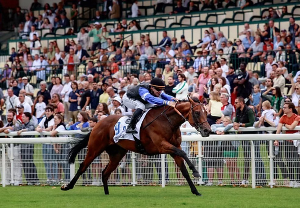 TallyHoStud's tweet photo. 👀 Throwback to GOOD GUESS sprinting clear in the G1 Prix Jean Prat - defeating G1 winners such as Chaldean, Charyn, Belbek & Sauterne in the process!
Don’t miss the first foals by this brilliant son of KODIAC selling this week @Goffs1866 #GoodGuess https://t.co/BA0Ph1jdpm