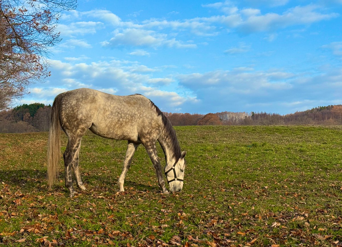 oumanobaketu's tweet image. 火曜、水曜の気温

最低気温マイナス7度
最高気温4度って…🥶