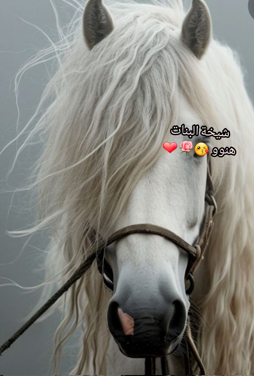 🙃
"الناس لطفااء بحجم المصلحة فلا تتعمق"

للأماانة فيه ناس إذا زعلوا مني أرتاح نفسياا .😎

صباح الحب لنفسي وبس 😌

🖤❤💤