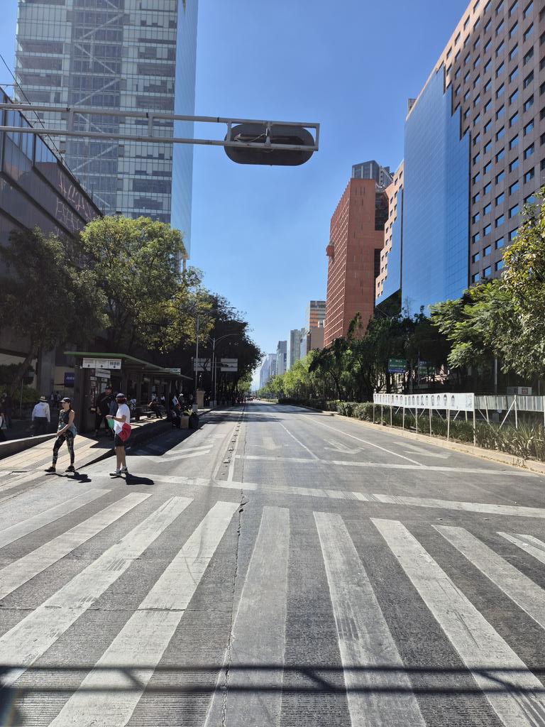 Tochi-tl tweet media