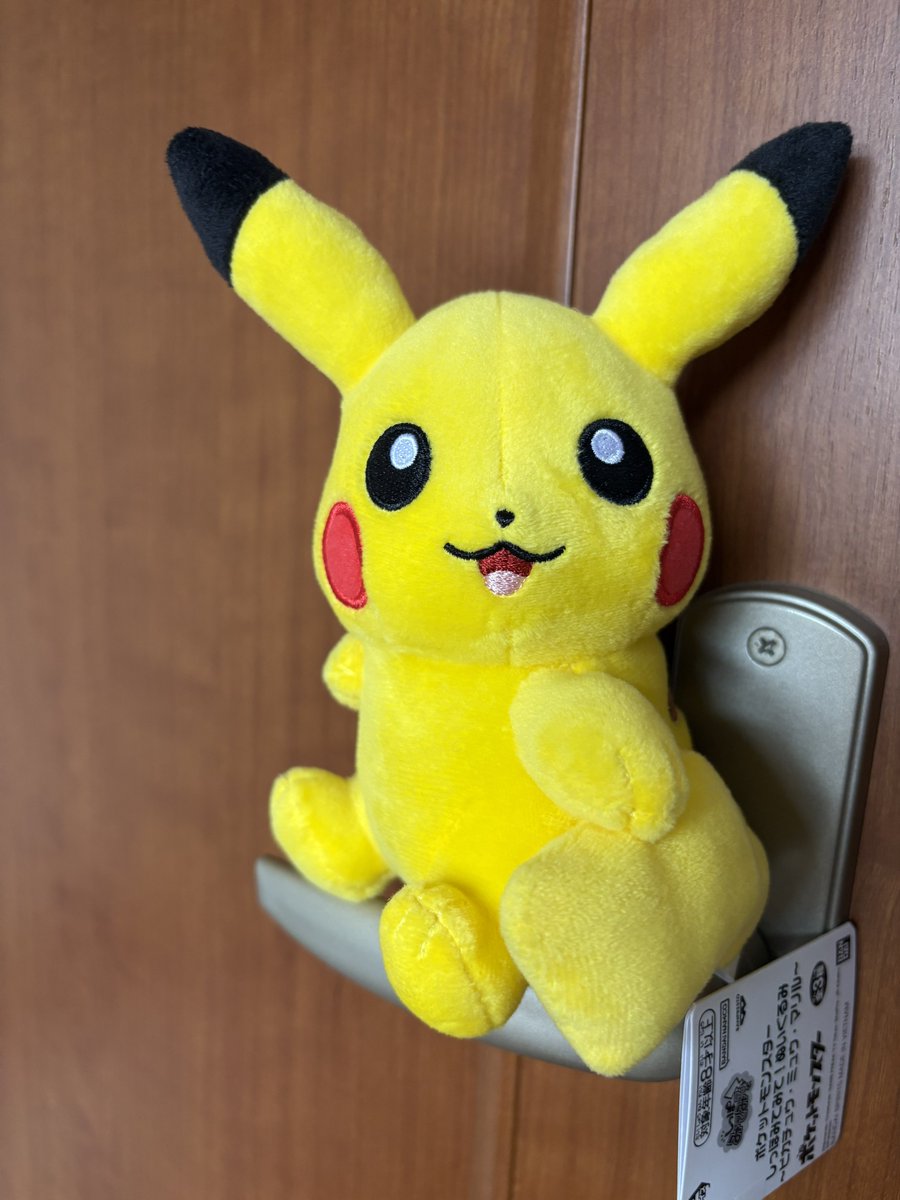 200円の成果
どんどんクレーンゲームのコツが掴めてきた気がする