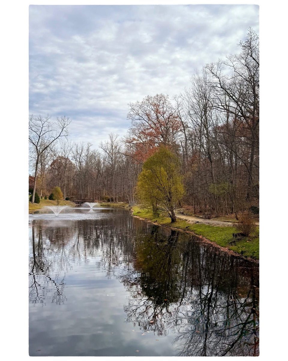 AuboisVeronique's tweet image. Indian Fields in Mahwah, NJ – 
#iPhone16Pro Pics @Apple 
What a difference one single week makes ! The #trees are almost all stripped bare, waving their long, bare #branches and their #leaves now littering the ground. They seem to be waiting for the snow …
©Véronique AUBOIS -