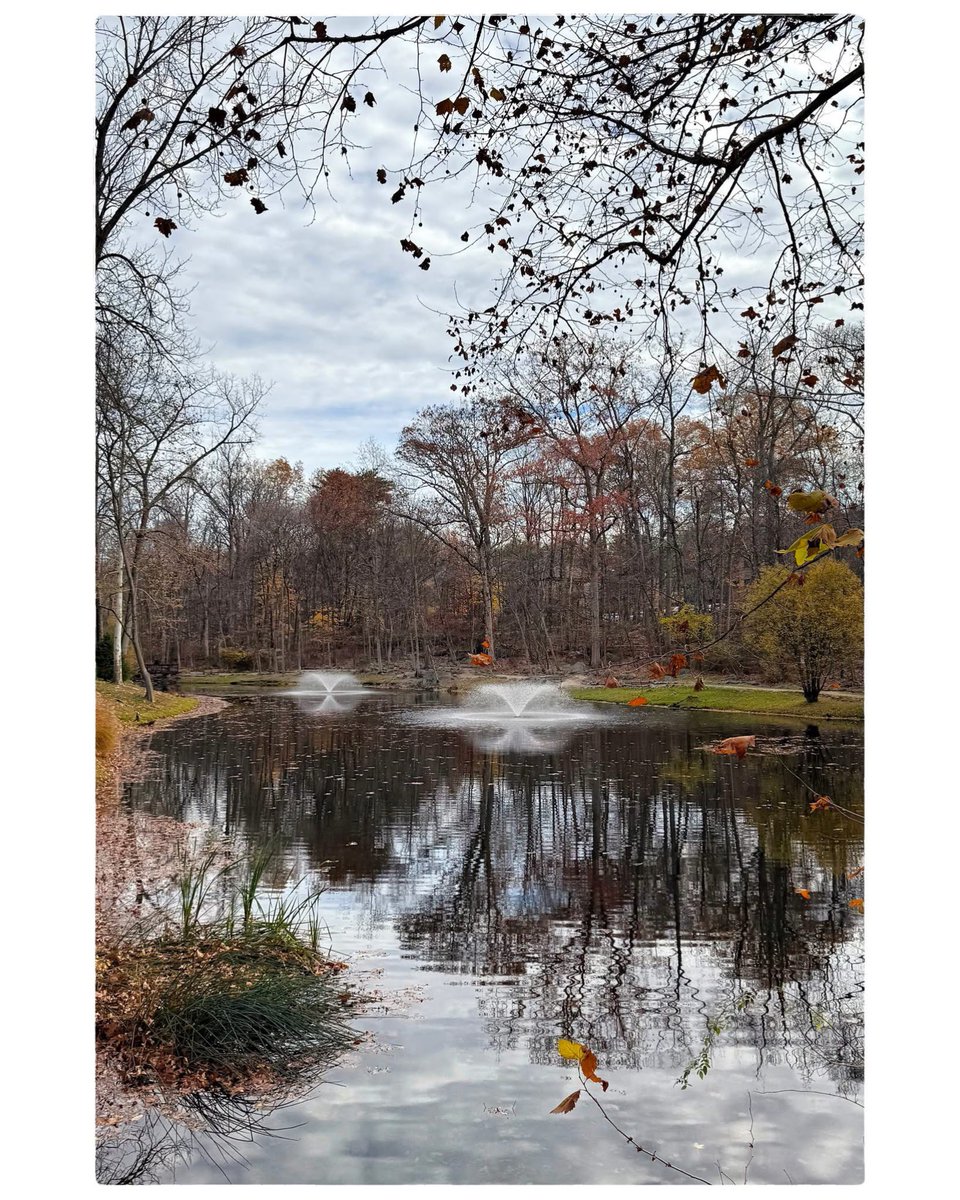 AuboisVeronique's tweet image. Indian Fields in Mahwah, NJ – 
#iPhone16Pro Pics @Apple 
What a difference one single week makes ! The #trees are almost all stripped bare, waving their long, bare #branches and their #leaves now littering the ground. They seem to be waiting for the snow …
©Véronique AUBOIS -