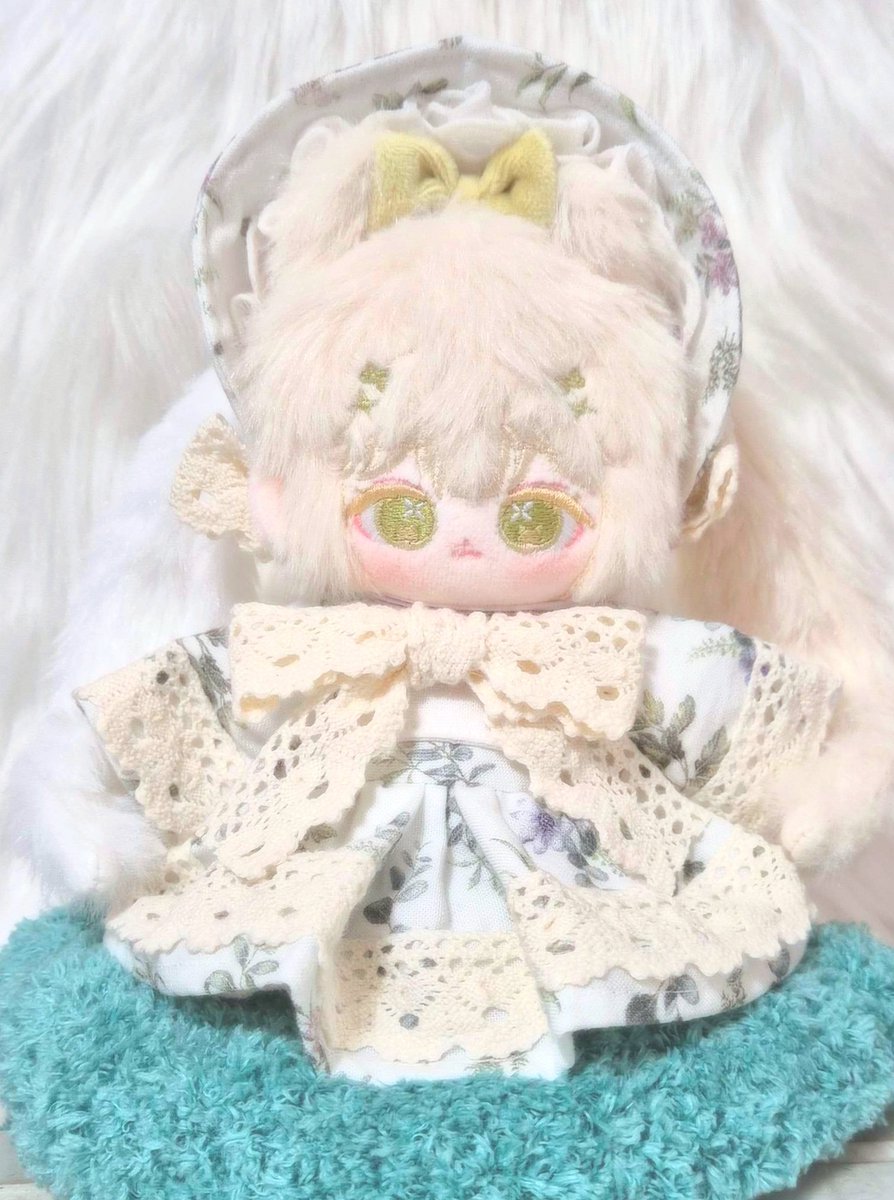 SLOW 침엽수 tweet media