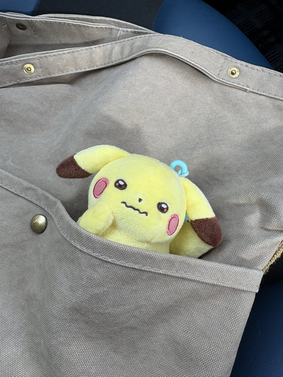 ぽかり (@gogo_pocari) / Posts / X