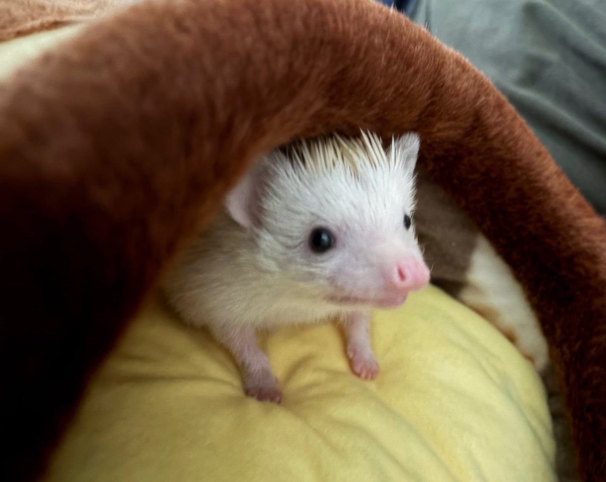 銀ちゃんおはよ🤗