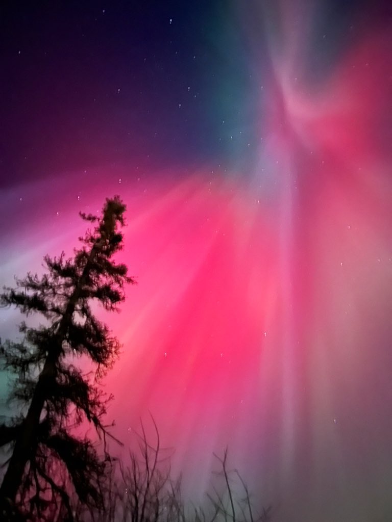 I still can’t believe this was my backyard and I’ve lived in Alaska all my life. I’ve seen some amazing northern lights, but this is like top five.