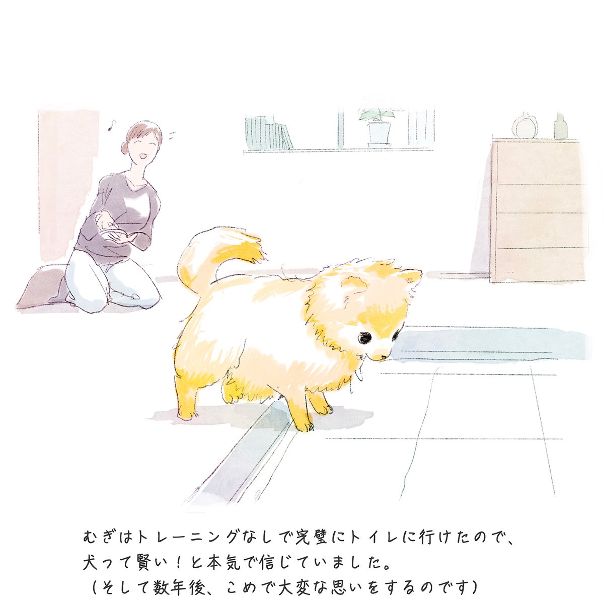 むぎはトレーニングなしで完璧にトイレに行けたので、犬って賢い！と本気で信じていました。
（そして数年後、こめで大変な思いをするのです）

#dogfam #むぎ