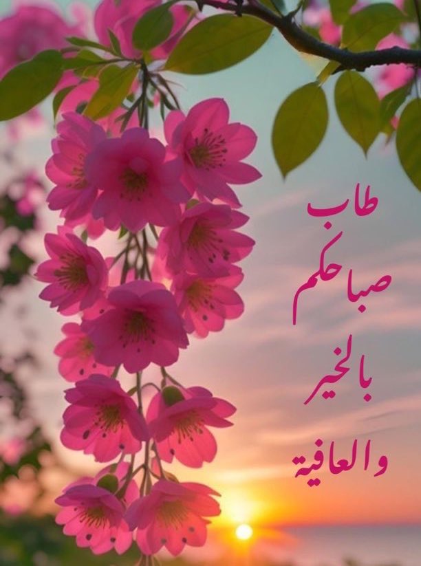 _mq_5's tweet image. -

سُبحَان مَن أيقَظ العيُونٰ بعَد المَنامٰ ،
و سُبحَان مَن أنَـار هَذا الكُونَ بعَد الظلامٰ .

اللهُم نسّألك صَباحاً مُبشّراً ، و هماً راحلاً 
و قلباً مُطمَئناً ..

ٰ
                  #صباح_الخير  🕊️