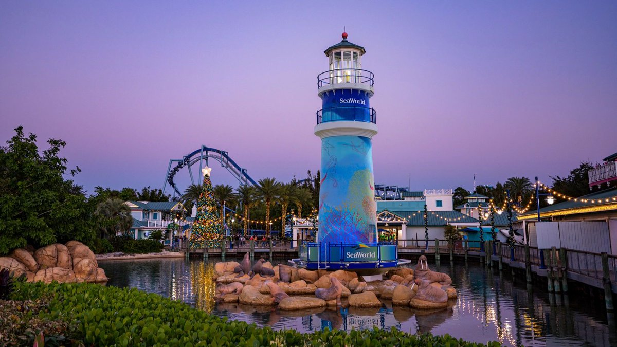 Budget Travel tweet media