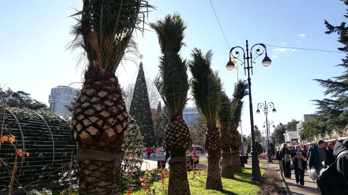 Хотите переехать на юг? Смотрим цены на квартиры в Сочи, Туапсе и других курортах 
prmira.ru/news/2025-11-1…