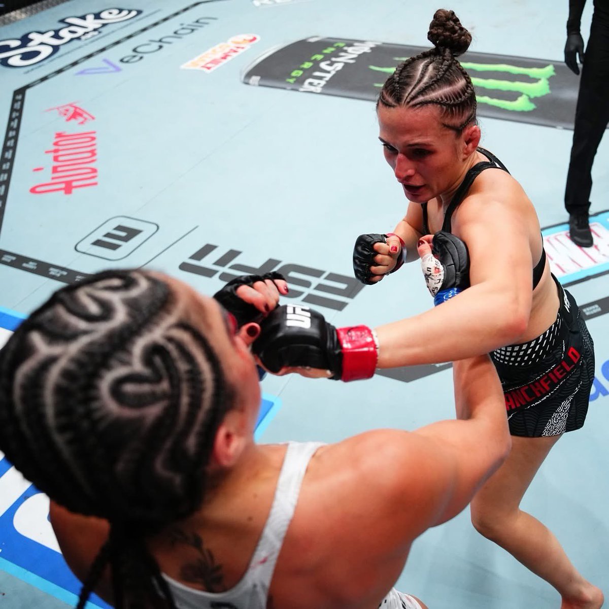 Brian Meltzer tweet media