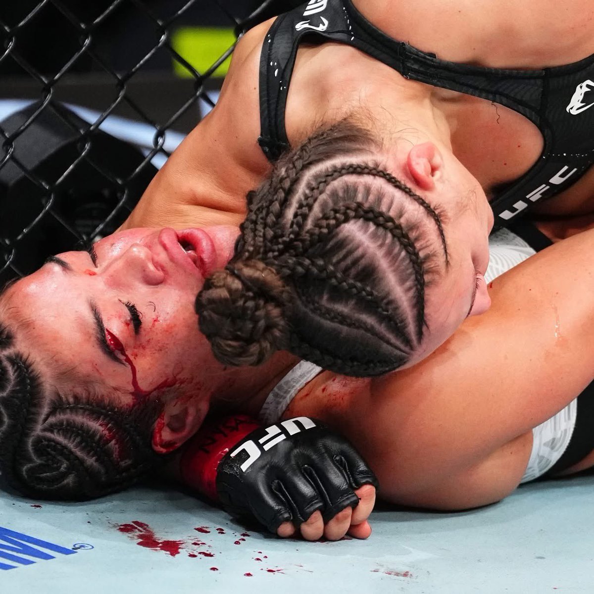 Brian Meltzer tweet media